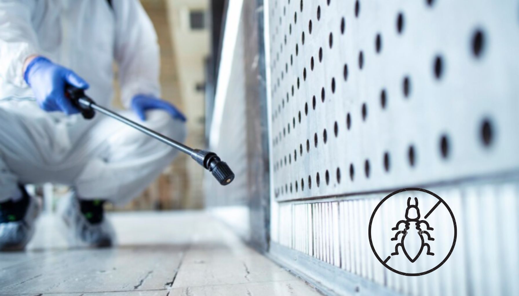 How Can You Prevent Termites from Damaging Your Home?