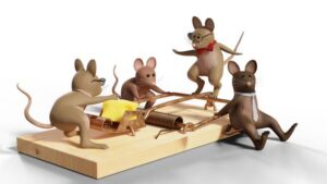 How to Get Rid of Mice - Everything You Should Know