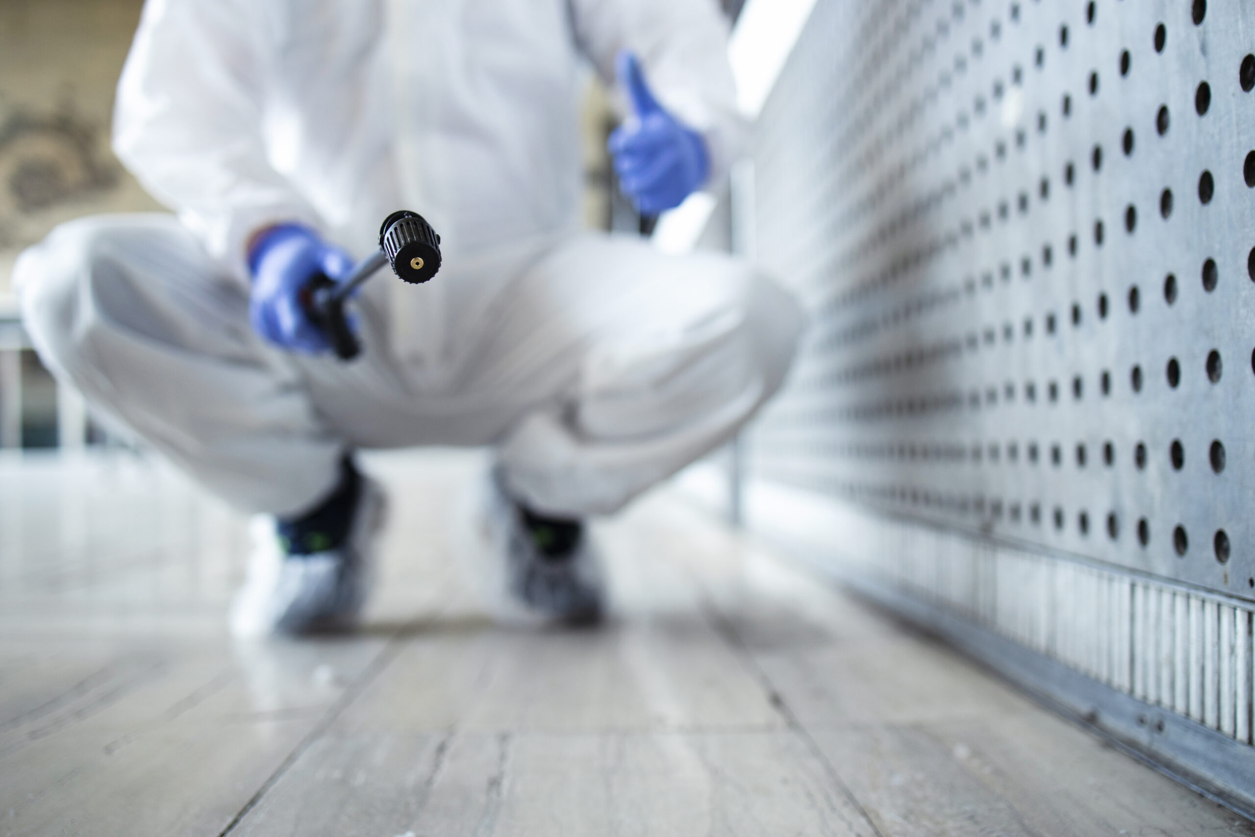 Can You Get Rid of Bed Bugs on Your Own? DIY vs Professional Extermination