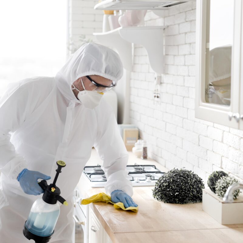 Common Household Mistakes That Attract Pests